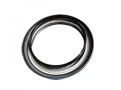 Combination seals