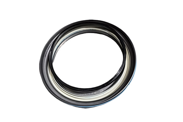 Combination seals